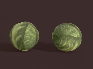 cabbage 3D Model