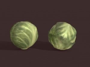 cabbage 3D Модель