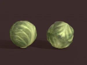 cabbage 3D Model