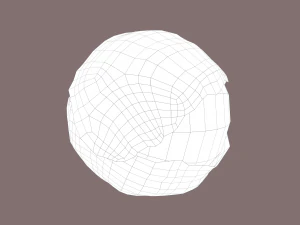 cabbage 3D Model