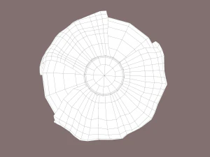 cabbage 3D Model