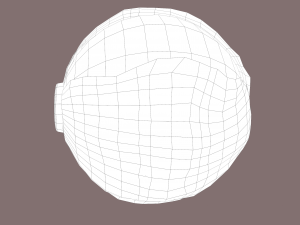 cabbage 3D Модель