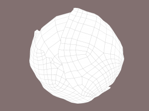 cabbage 3D Модель