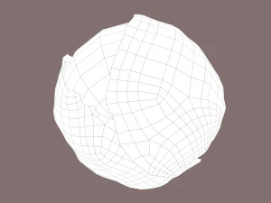 cabbage 3D Model