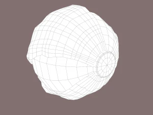 cabbage 3D Model