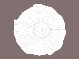 cabbage 3D Model