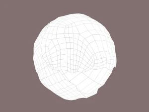 cabbage 3D Model