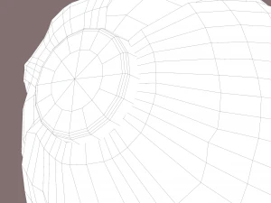 cabbage 3D Model