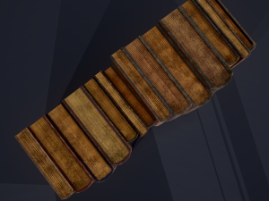 Medieval books row 2 designs 1 and 2 3D Model