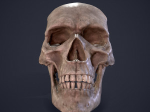 Medieval books and skull 3D Model