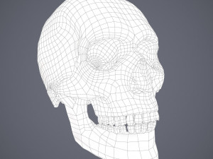 Medieval books and skull 3D Model