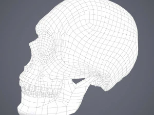 Medieval books and skull 3D Model