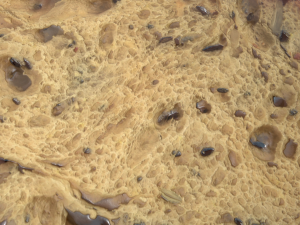Slice of bread Modelo 3D