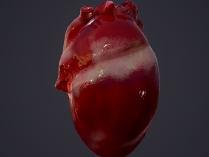 human heart Modelo 3D
