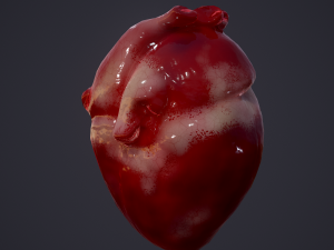 human heart Modelo 3D