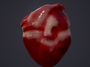 human heart Modelo 3D