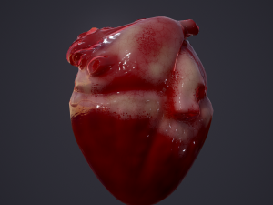 human heart Modelo 3D