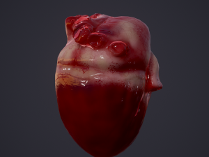 human heart Modelo 3D