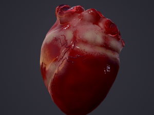 human heart Modelo 3D