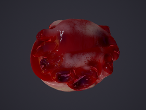 human heart Modelo 3D
