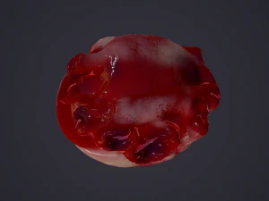 human heart 3D Model
