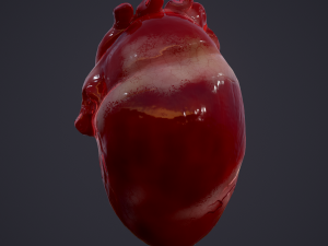 human heart Modelo 3D