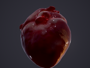 human heart Modelo 3D