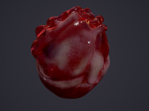 human heart Modelo 3D