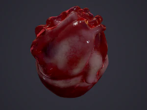 human heart 3D Model