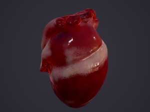 human heart Modelo 3D