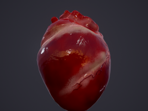 human heart Modelo 3D