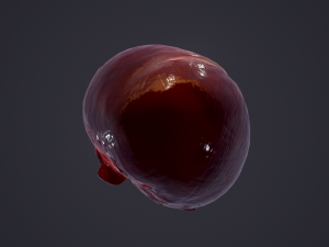 human heart Modelo 3D