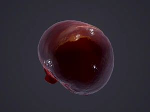 human heart 3D Model