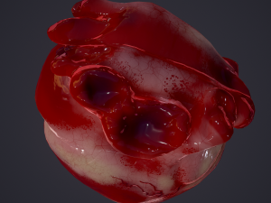human heart Modelo 3D