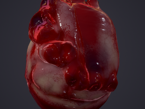 human heart Modelo 3D