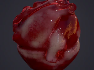 human heart 3D Model