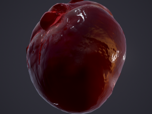 human heart Modelo 3D