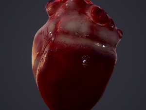 human heart Modelo 3D