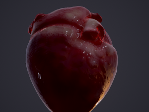 human heart Modelo 3D
