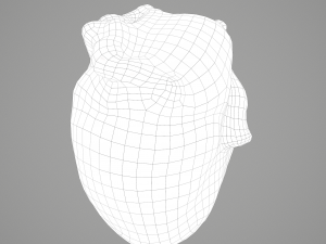 human heart Modelo 3D