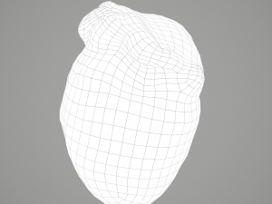 human heart Modelo 3D