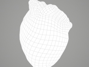 human heart Modelo 3D