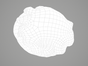 human heart Modelo 3D
