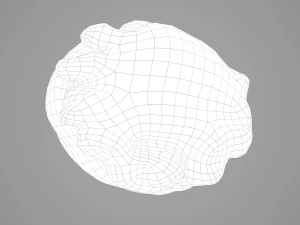 human heart 3D Model