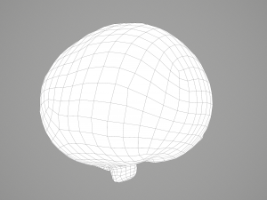 human heart Modelo 3D
