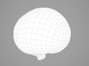 human heart 3D Model