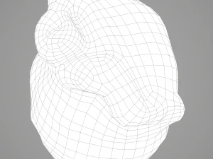 human heart 3D Model