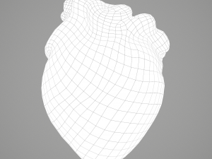 human heart Modelo 3D