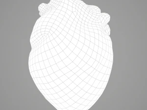 human heart 3D Model