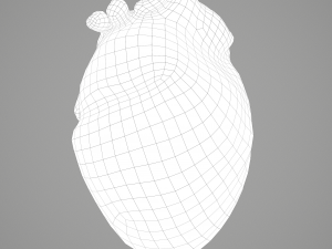 human heart Modelo 3D